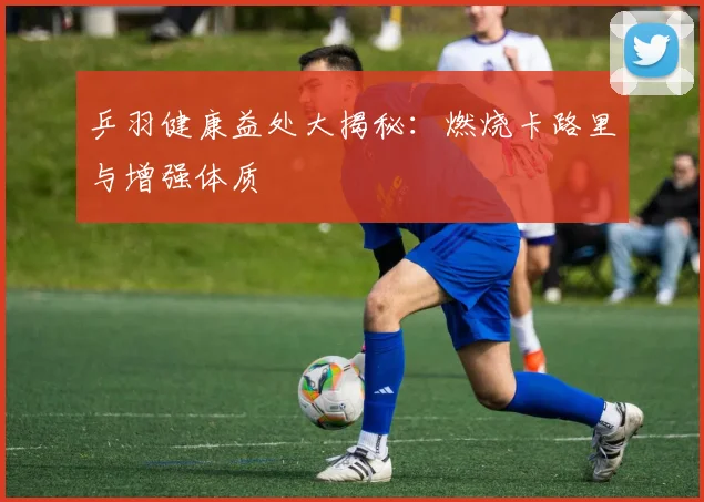 乒羽健康益处大揭秘:燃烧卡路里与增强体质