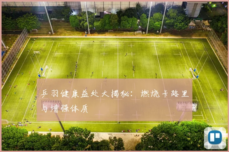 乒羽健康益处大揭秘:燃烧卡路里与增强体质