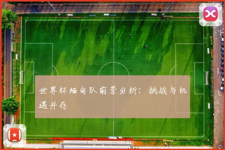 世界杯缅甸队前景分析：挑战与机遇并存
