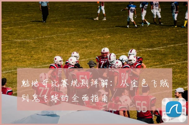 魁地奇比赛规则详解：从金色飞贼到鬼飞球的全面指南