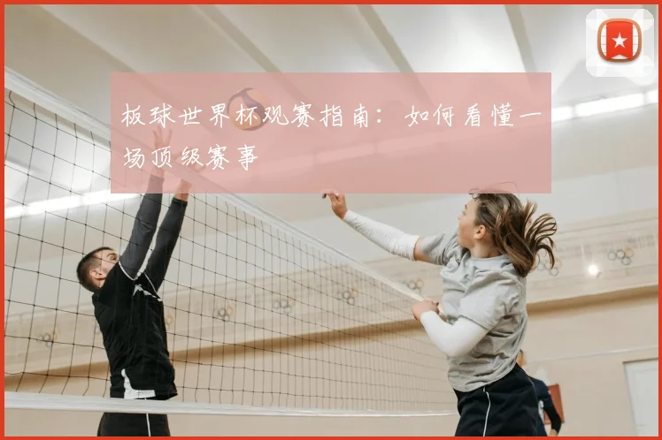 板球世界杯观赛指南：如何看懂一场顶级赛事